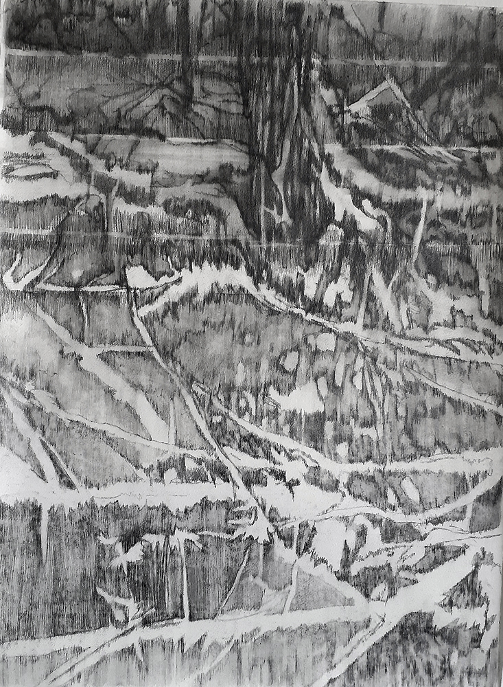 François Réau, "L'indifférence du monde IV", mine de plomb sur papier marouflé sur toile, 76 x 65 cm © François Réau