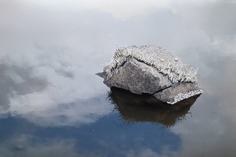 "Dans un caillou, la montagne", Raphaelle Peria ©DR