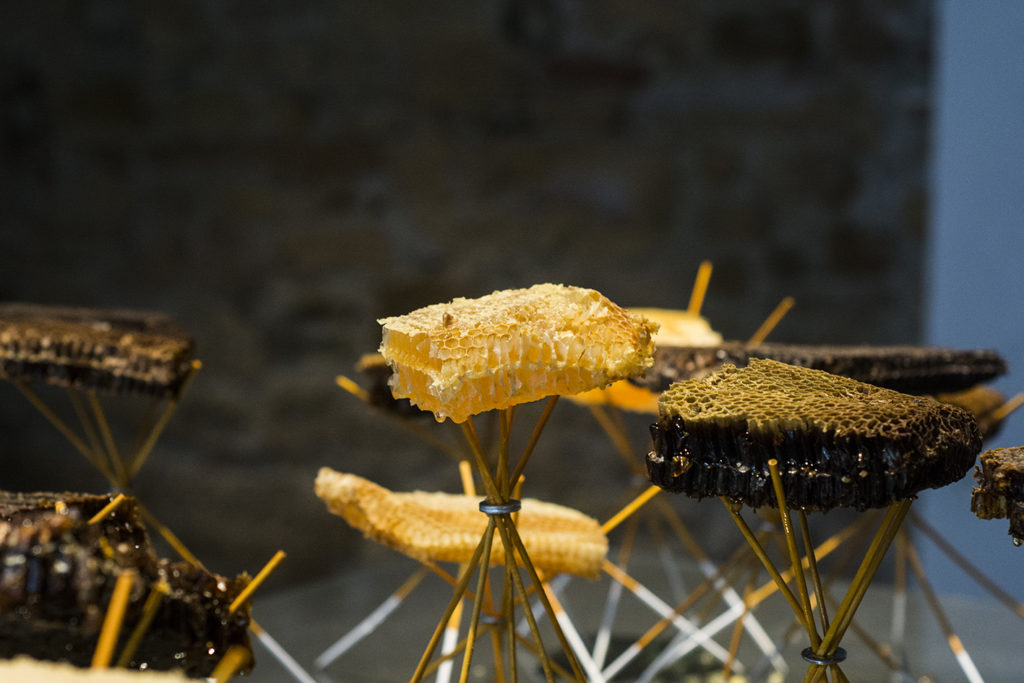 Jan Kopp, Constellation ordinaire #9 (Nids d'abeilles), installation in situ, 2020 © Fondation Bullukian