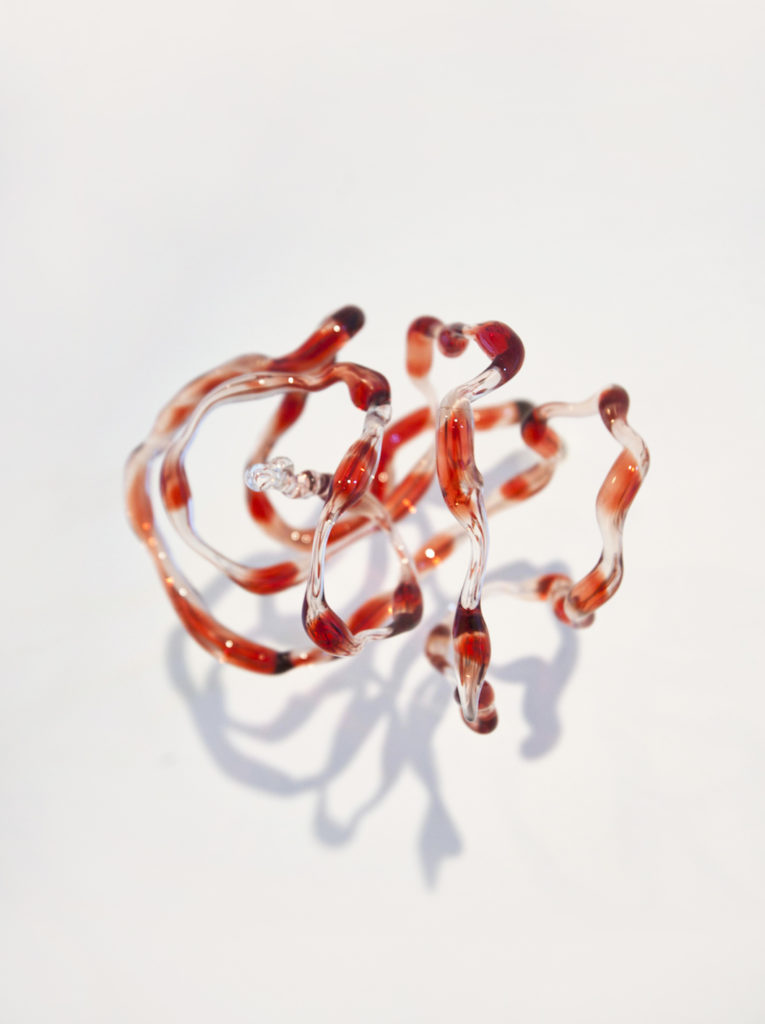 Le Serpent Katanguais, 2012 © Julie Legrand